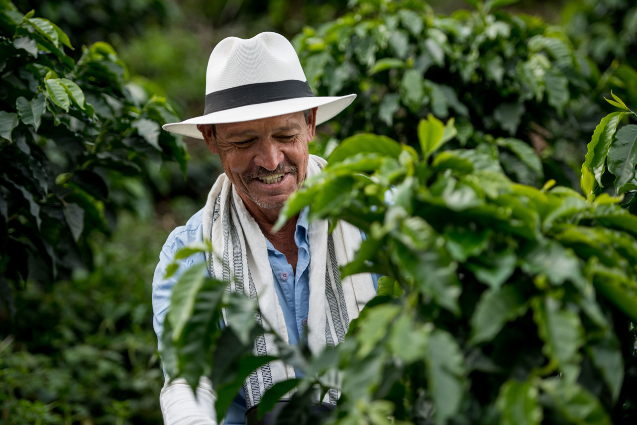 ED&F Man coffee plantation workers