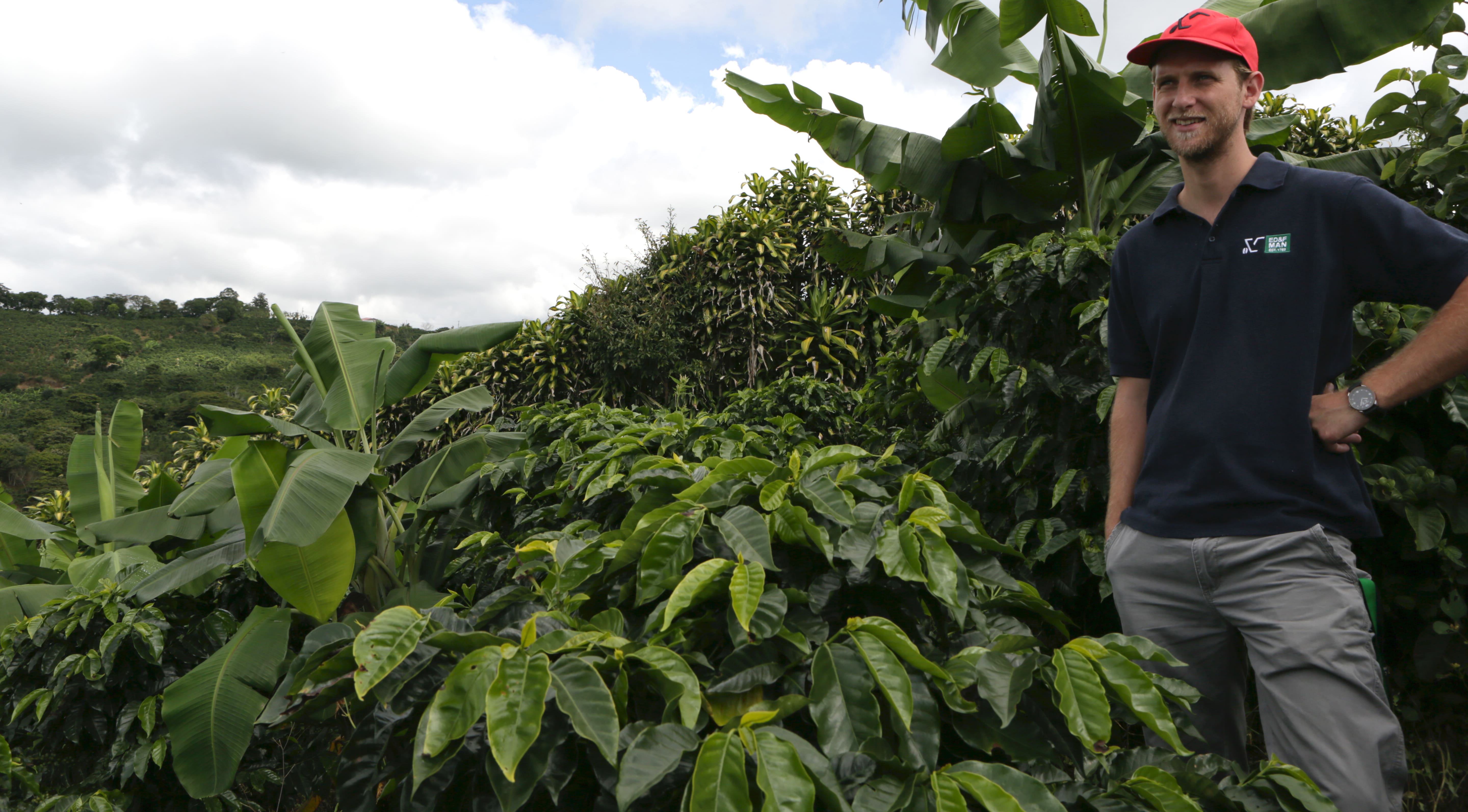Employee in coffee field, Costa Rica