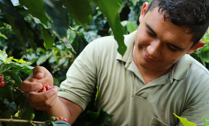 CSRSustainability